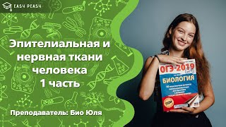 Эпителиальная и нервная ткани в ОГЭ по биологии 2020 | Открытый урок | EASY PEASY Эпителиальная и нервная ткани в ОГЭ по биологии 2020 | Открытый урок | EASY PEASY
