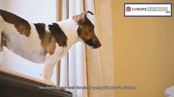 Tech Tip - Keyboard shortcut CTRL + Z