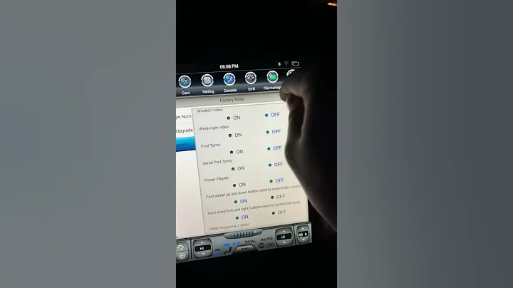 Phoenix Android Radio: Access System Version Settings & Password