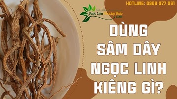 Dùng sâm dây Ngọc Linh kiêng gì? Lưu ý “vàng” giúp phát huy tinh chất từ sâm | Dược Liệu Phương Thảo