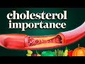 Mcdougalls medicine why total cholesterol is most important