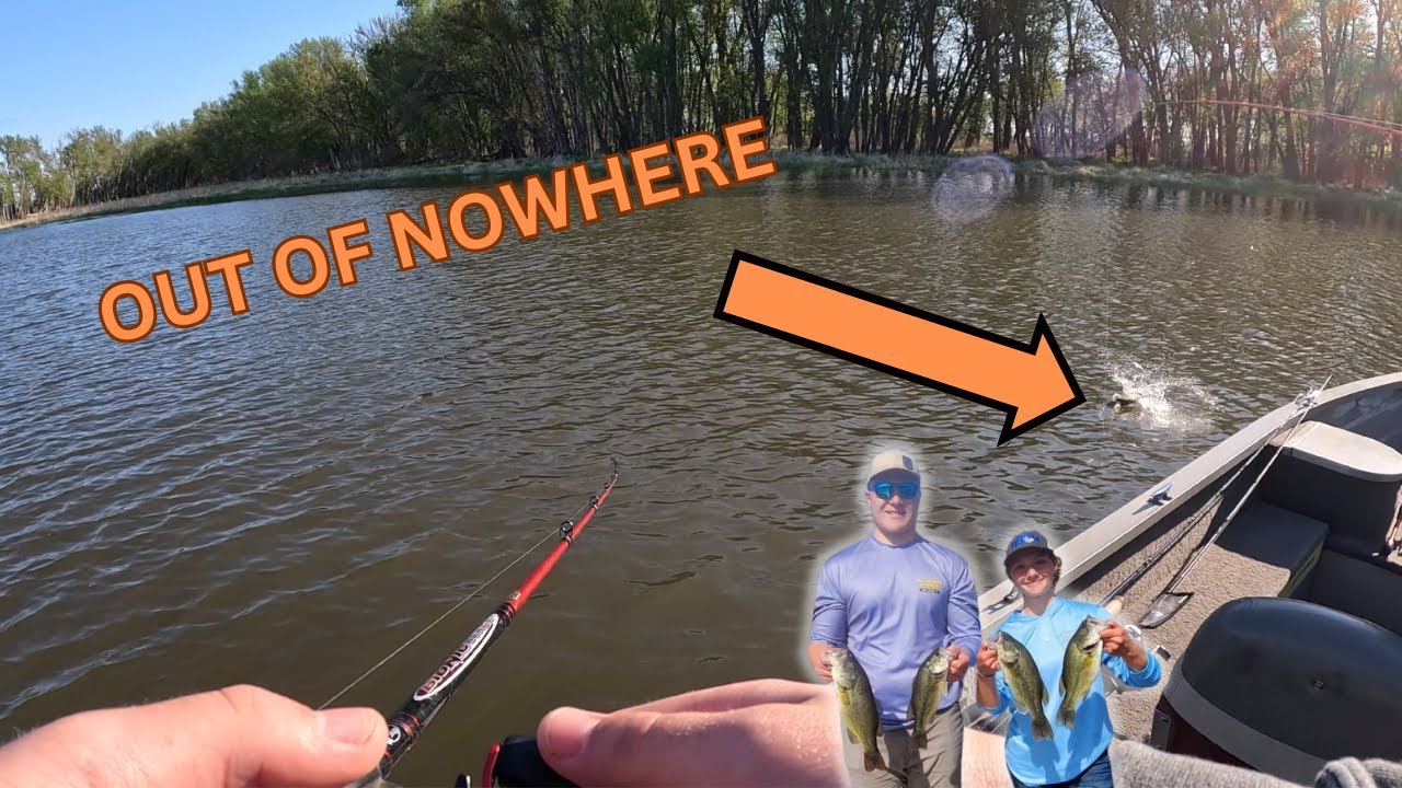ILLINOIS HIGH SCHOOL BASS FISHING TOURNAMENT