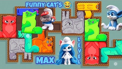 easy game level | max level happy puzzle cat funny gameplay walkthrough all levels | part-1 |
