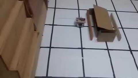 Master and Slave khepera III robots in  RealWorld