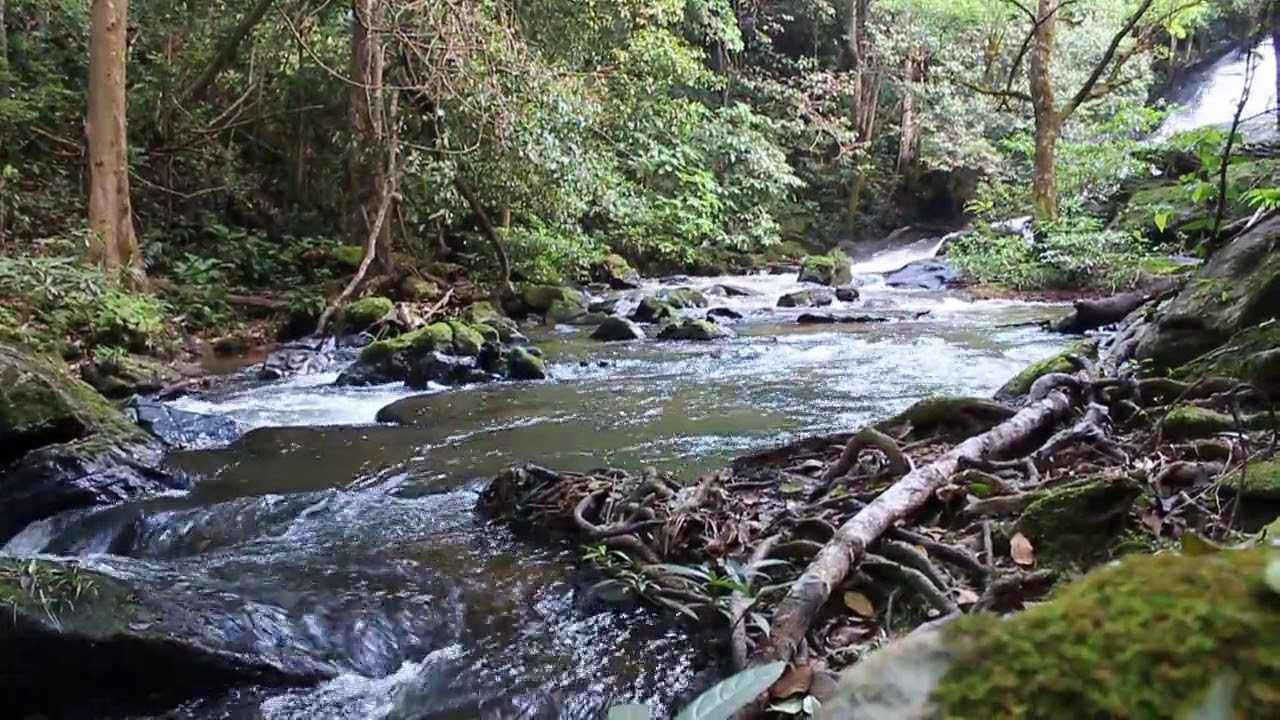 Звуки природы усыпляющее. Расслабляющий звуки природы журчание воды. Water is Relaxing.