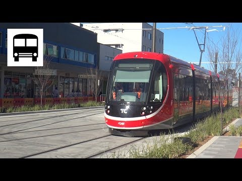 Transport Canberra Metro