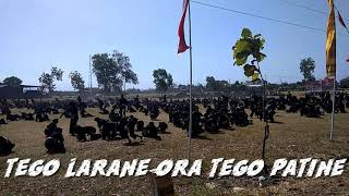 Tego larane ora tego patine