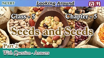 NCERT | Class 5 | EVS | Chapter 5 | Part 2 | Seeds and Seeds