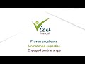 Vizo financial services