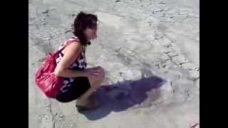 Turism - \
