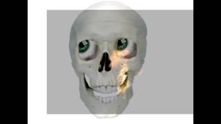 Punk Ass Teachers  This Song Has Copyrights And May Not Be Copied