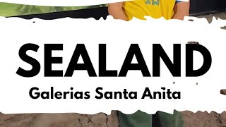 SeaLand Guadalajara visita con niño