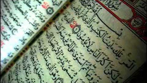 الشيخ زيد البحري - سورة الرعد  مميز
