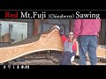 ＃10【製材】「赤富士？！」　栴檀（センダン）　Chinaberry　Sawing