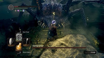 Dark Souls is hard game [No Sound]