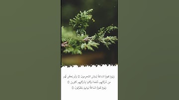 تلاوة في دقيقة | سورة الروم | الآيات ١٢ - ١٤ | الشيخ ياسر الدوسري
