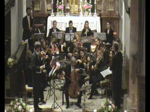 Shane Woodborne, Double concerto for violin and ce...