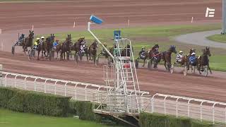 Vidéo de la course PMU PRIX DE LA HAUTE-MARNE