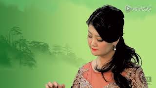 999 朵玫瑰 999 Đóa Hồng   Guzheng