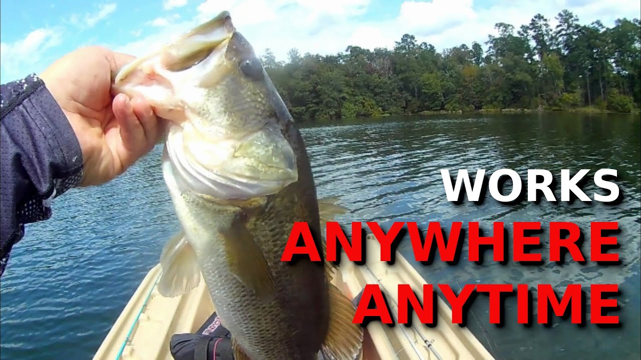I Caught OVER 10 NICE Bass In An HOUR Just By Doing This!!!!