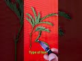 ## botany terms @@