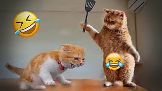 Funny Dog And Cat Videos ❤ New Funny Animals 2024 #16