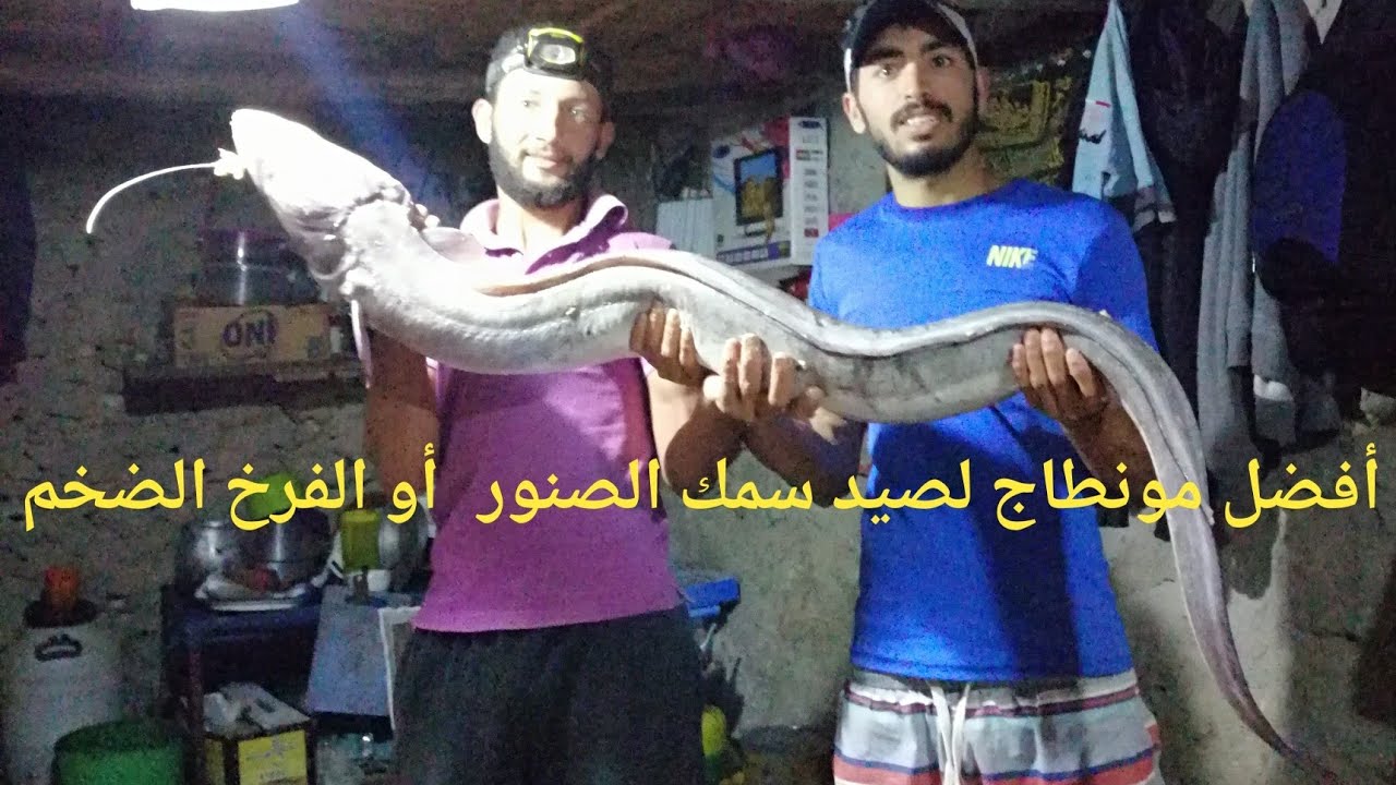 أفضل مونطاج لصيد سمك الصنور او المريني تجربة ناجحة 💯💯🐍🐍