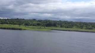 IMG 1861