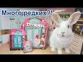 😱 Шок! МНОГО РЕДКИХ Doorables!!!  НОВИНКИ С кроликом Лялей