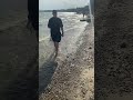 Собачка и море #собака #шортс #dog #doglover #shorts