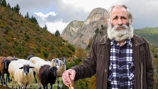 Ο κτηνοτρόφος που δεν πτοείται από τις δυσκολίες | Στα βουνά της Ευρυτανίας | Greek Village Life