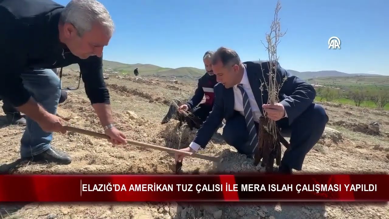 Elazığ'da Amerikan tuz çalısı ile mera ıslah çalışması yapıldı
