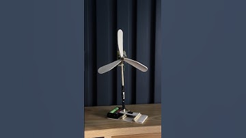 Oscillating Fan Low Budget