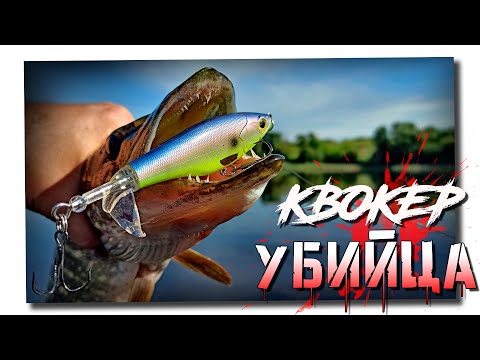 Видео: Какой Whopper Plopper лучше всего подходит для баса?