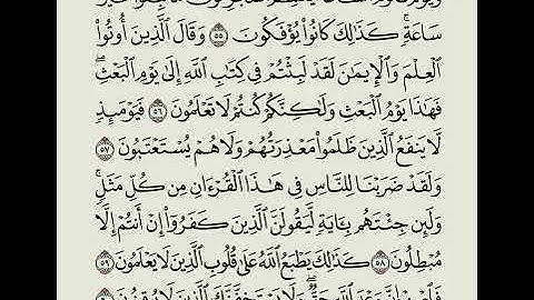 ما تيسر من سورة الروم | فهد الكندري