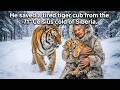 🐯 At -71°C in Siberia, an 80-Year-Old Woman Rescues a Dying Tiger Cub ❄️