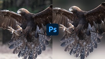 How to blur a photo background in Photoshop -2023 #wildlifephotography