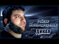 Рейсан Магомедкеримов - Дикая | Шансон Юга