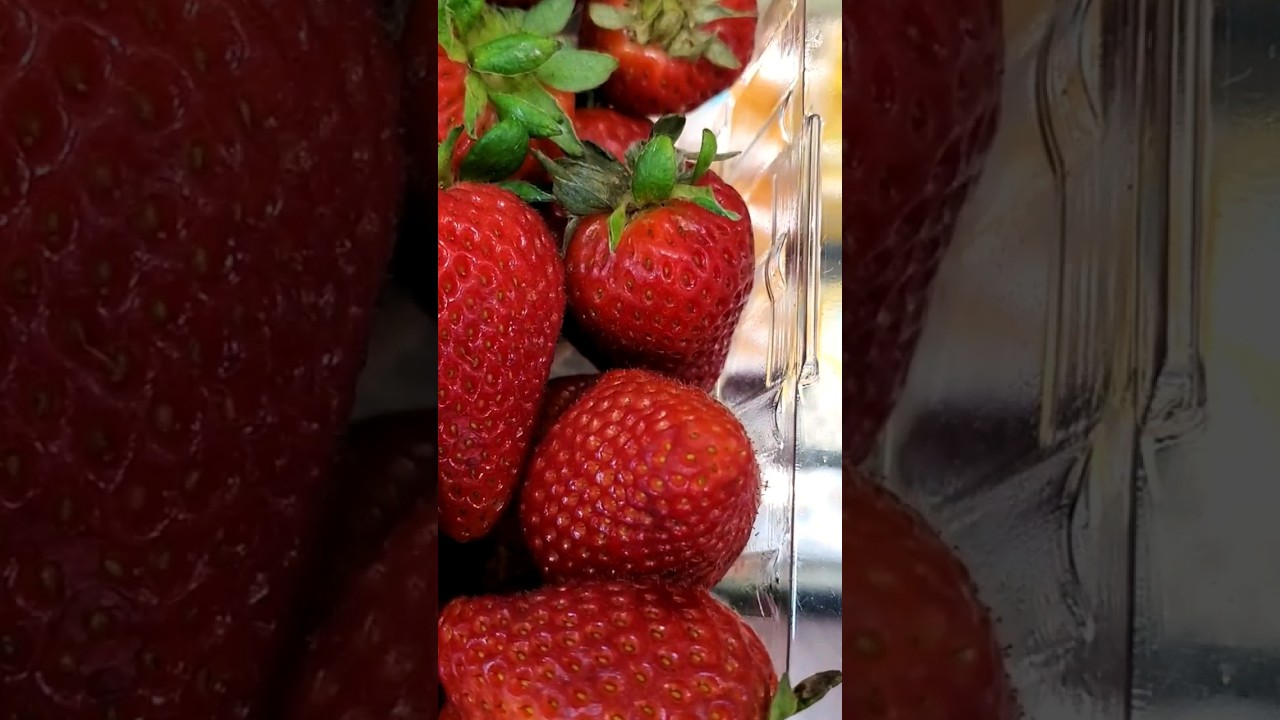 Tips for buying berries this summer 