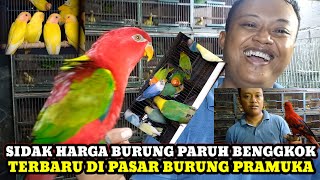 SIDAK HARGA BURUNG PARUH BENGKOK DI PASAR BURUNG PRAMUKA HARI INI KIOS KANG YANTO TERBARU