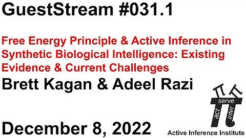 ActInf GuestStream #031.1 ~ Brett Kagan & Adeel Razi