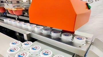 2 Colors Automatic Bottle Caps Pad Printing Machine