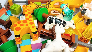 Satisfying Building Block coaster Marble Run ASMR - giraffe slide and Other animals course