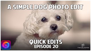 Dog Photo Editing In On1 Photo Raw 2023 screenshot 3