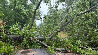 Severe storms bring trees down, cause power outages in west Georgia