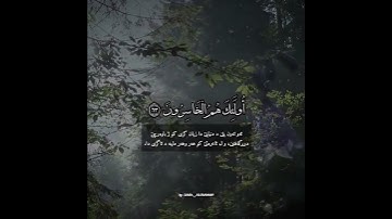 سورة الزمر | القارئ عمر الدريويز
