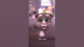 Thumbnail of Nhạy theo điệu nhảy của các chú mèo nào các bạn ơi talking tom cat #talking ♥️🍎🍓🍈🍏