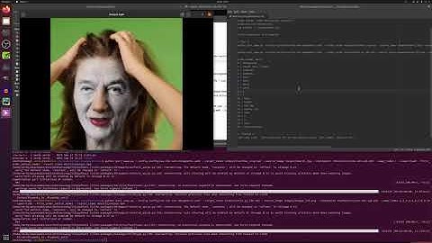 Motion Supervised co-part Segmentation Tutorial