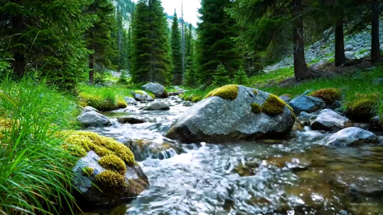Flowing River | Soft Forest Water Sounds ASMR for Deep Sleep and Peaceful Mind