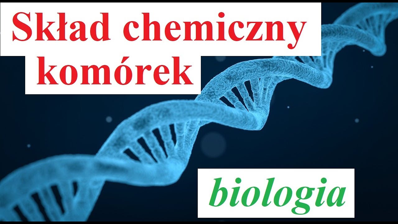 Sprawdzian Z Biologii Skład Chemiczny Organizmów